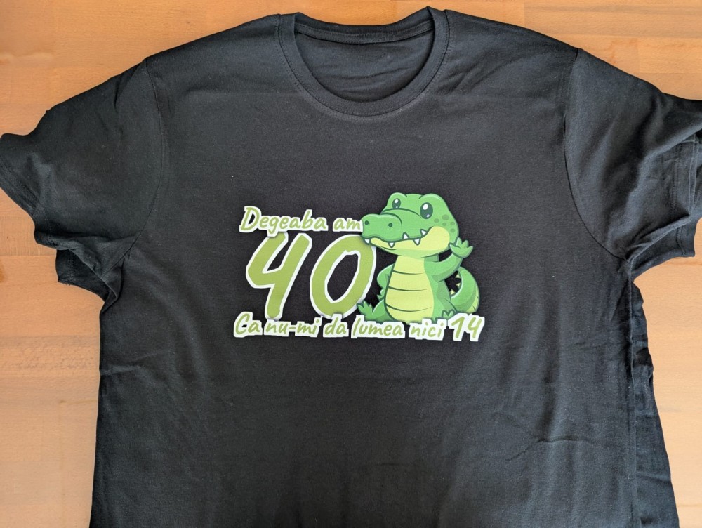 Am cumparat de la voi un tricou pentru o zi de nastere si a iesit super.Multumesc. Am sa mai revin.Recomand.